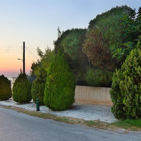 Luxury Villa Sea Melody Palaiá Fókaia Eksteriør billede
